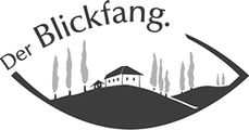 Logo Blickfang Optiker